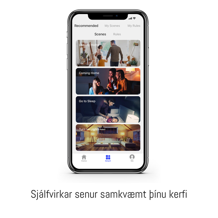 WiFi Öryggisstöð